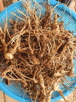 김홍진님의 작성글 사진