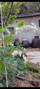 팜모닝 자유주제·자유게시판 게시글 이미지