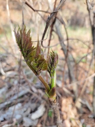 농사꾼 단비님의 자유주제 · 자유게시판 작성글 사진