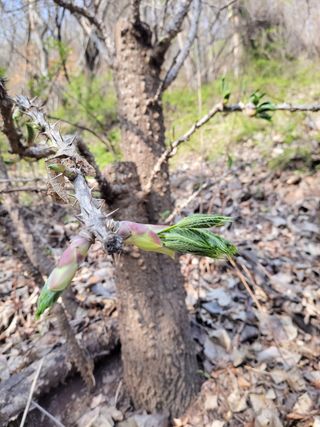 농사꾼 단비님의 자유주제 · 자유게시판 작성글 사진