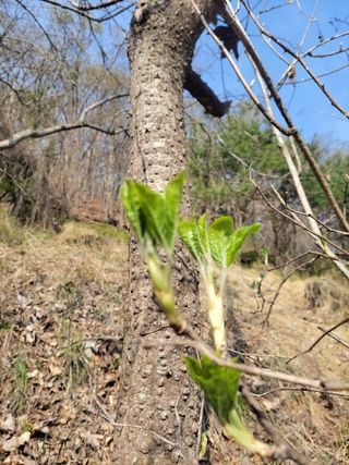 농사꾼 단비님의 자유주제 · 자유게시판 작성글 사진