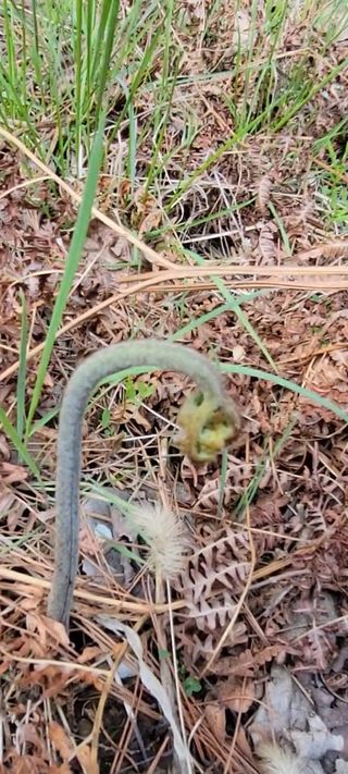 농사꾼 단비님의 자유주제 · 자유게시판 작성글 사진