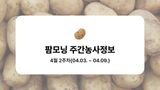 팜모닝 감자·농사길잡이 게시글 이미지