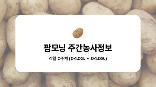 감자 농사도우미님의 감자·농사길잡이 작성글 사진