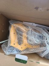 팜모닝 · 게시글 이미지