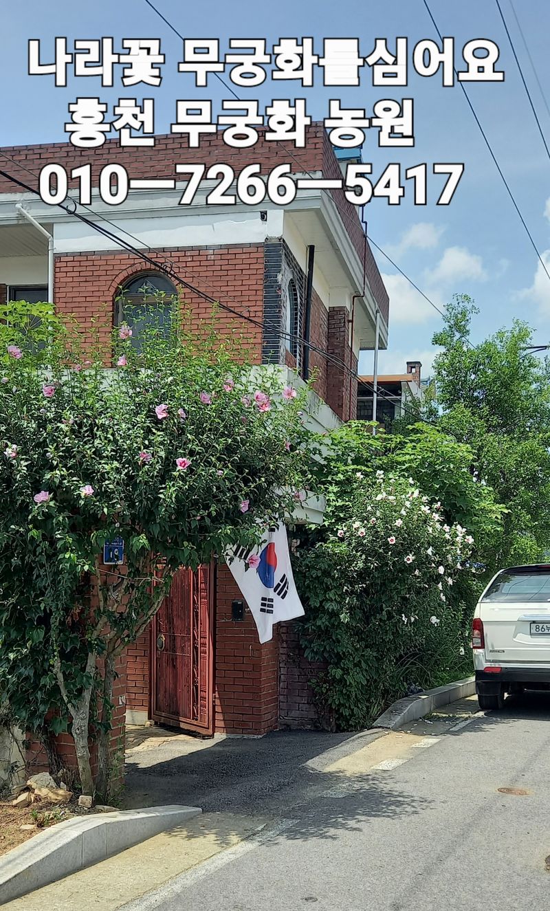 장터 상품 [무궁화 묘목] 썸네일