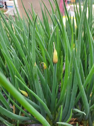 이영철님의 기타작물 · 자유게시판 작성글 사진