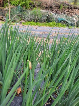 이영철님의 기타작물 · 자유게시판 작성글 사진