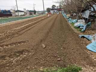 김형진님의 감자 · 자유게시판 작성글 사진