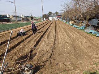 김형진님의 감자 · 자유게시판 작성글 사진