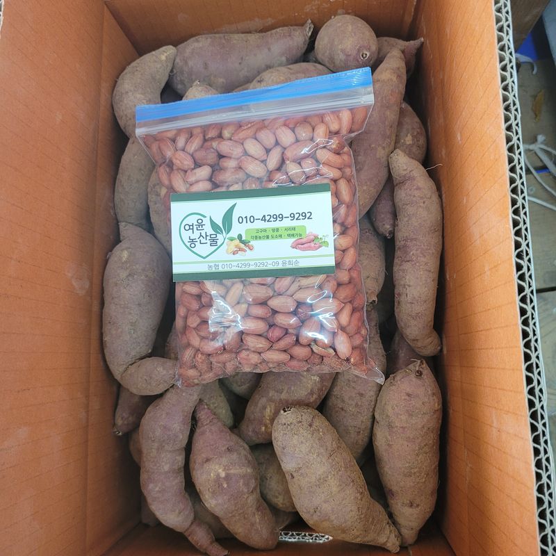 윤희순님의 장터 판매 상품 [여주꿀고구마10키로] 첨부 사진