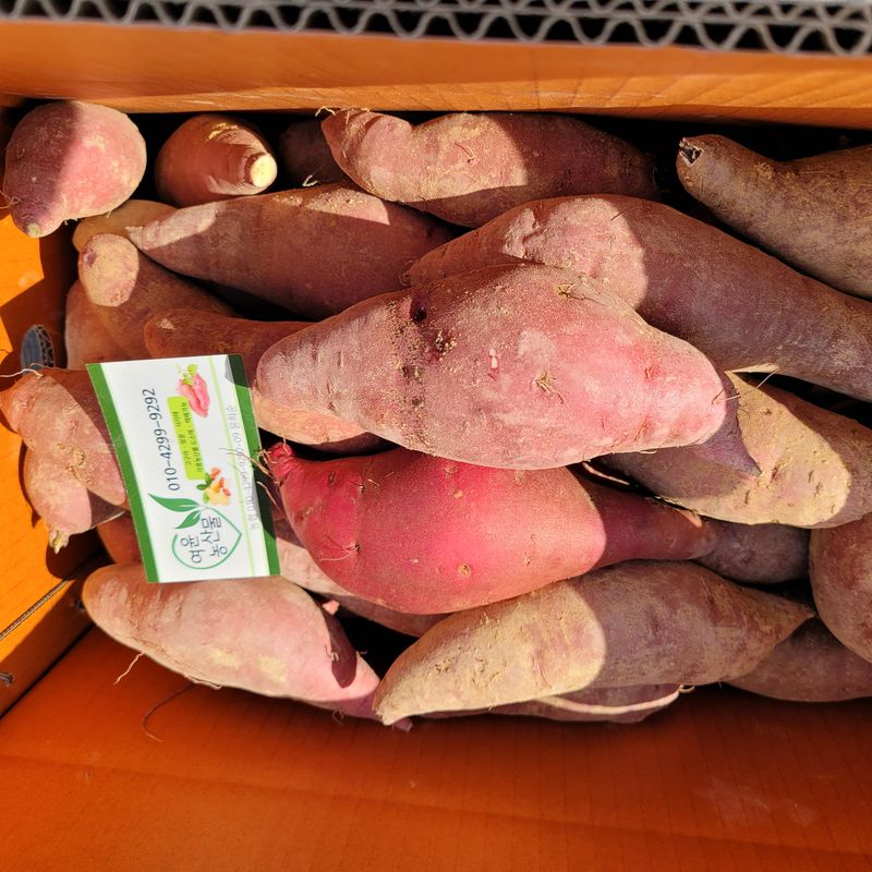 윤희순님의 장터 판매 상품 [여주꿀고구마10키로] 첨부 사진