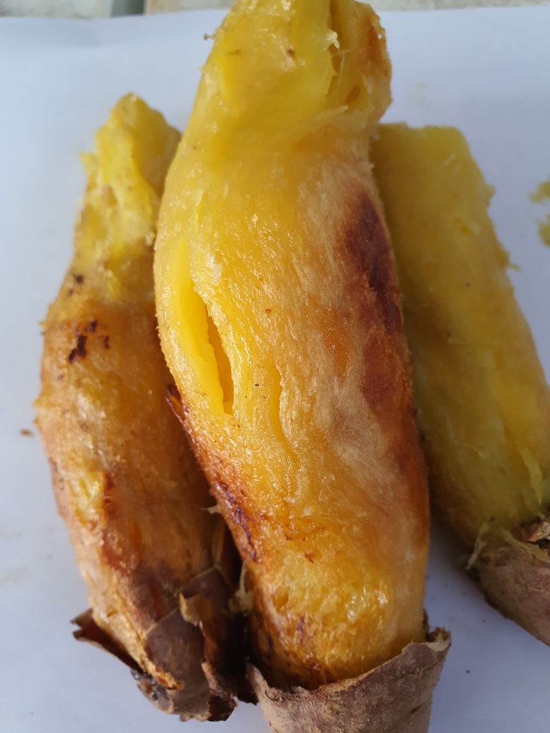 윤희순님의 장터 판매 상품 [여주꿀고구마10키로] 첨부 사진