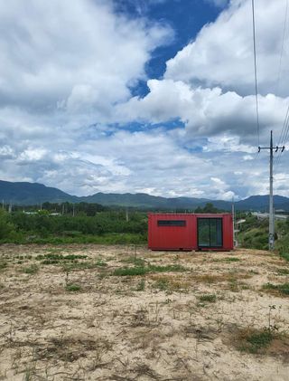 자두6706님의 자두 · 자유게시판 작성글 사진