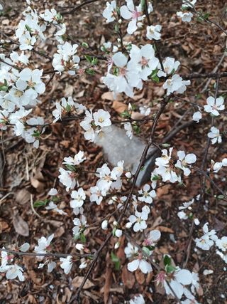 조경옥님의 자유주제 · 자유게시판 작성글 사진