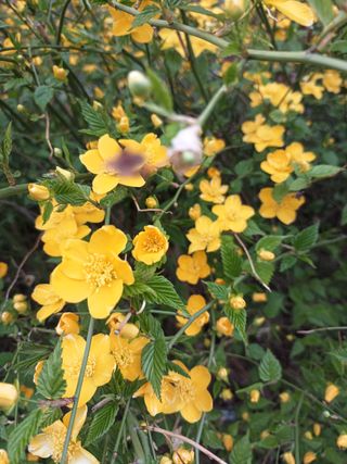 조경옥님의 자유주제 · 자유게시판 작성글 사진