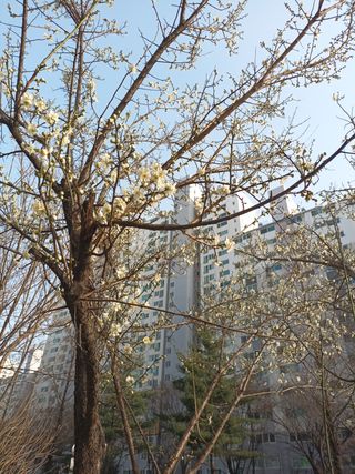 조경옥님의 자유주제 · 자유게시판 작성글 사진