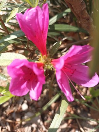 조경옥님의 자유주제 · 자유게시판 작성글 사진