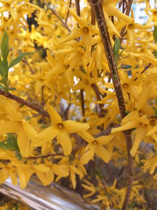 조경옥님의 자유주제 · 자유게시판 작성글 사진