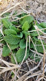 팜모닝 자유주제·자유게시판 게시글 이미지