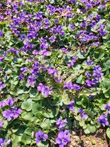 팜모닝 자유주제·자유게시판 게시글 이미지