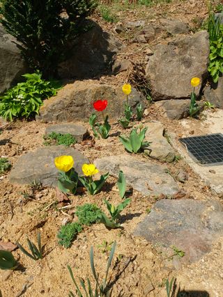 달덩이농원님의 자유주제 · 자유게시판 작성글 사진