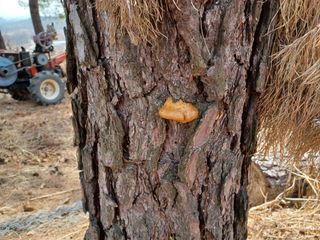 알 수 없음님의 기타작물 · 자유게시판 작성글 사진