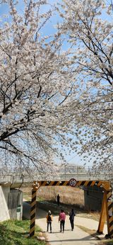 팜모닝 자유주제·자유게시판 게시글 이미지