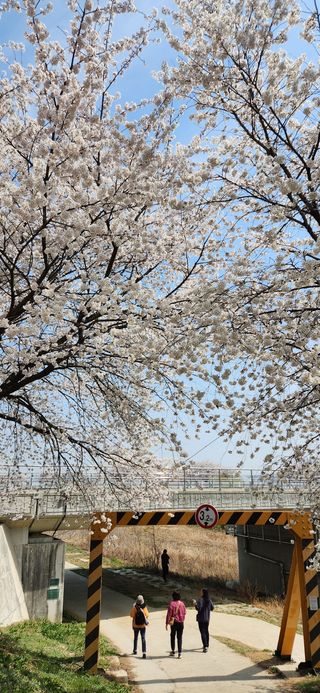 김은경님의 자유주제 · 자유게시판 작성글 사진