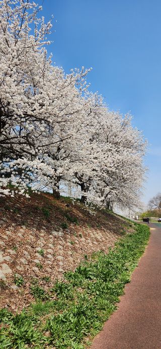 김은경님의 자유주제 · 자유게시판 작성글 사진
