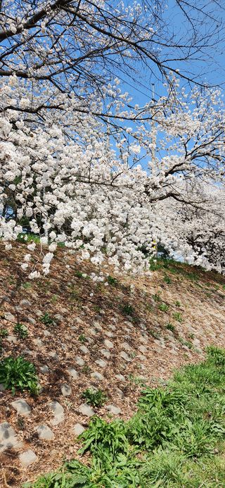김은경님의 자유주제 · 자유게시판 작성글 사진