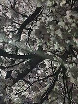 팜모닝 오이·자유게시판 게시글 이미지