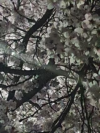 김인선님의 오이 · 자유게시판 작성글 사진