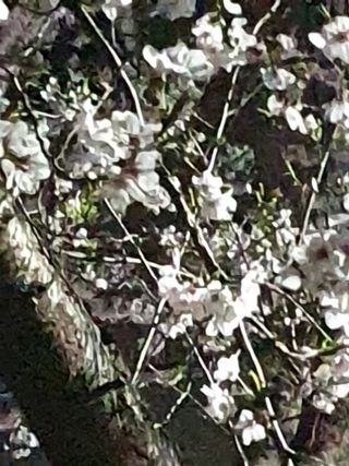 김인선님의 오이 · 자유게시판 작성글 사진