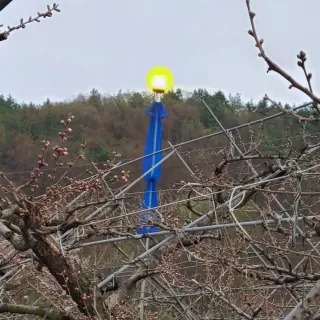 달맛햇복숭아농원님의 복숭아 · 자유게시판 작성글 사진