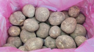 프룻하늬님의 작성글 사진