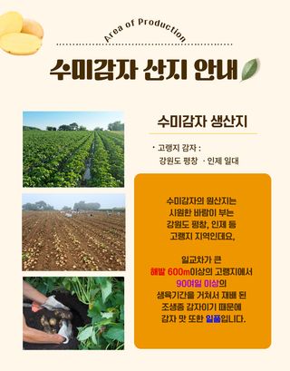 프룻하늬님의 작성글 사진