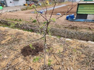 박필진님의 자유주제 · 자유게시판 작성글 사진