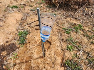 박필진님의 자유주제 · 자유게시판 작성글 사진