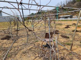 박필진님의 자유주제 · 자유게시판 작성글 사진