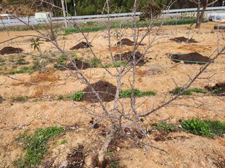 박필진님의 자유주제 · 자유게시판 작성글 사진