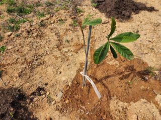 박필진님의 자유주제 · 자유게시판 작성글 사진