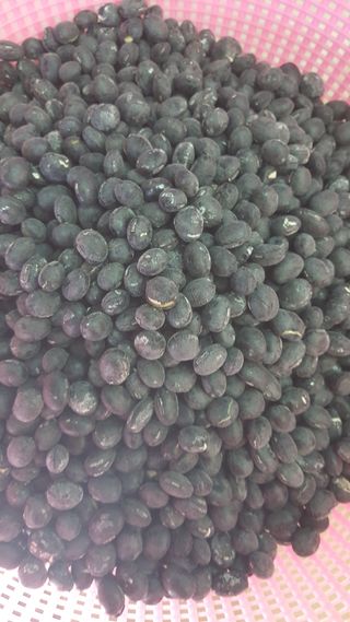 시간여행~님의 작성글 사진