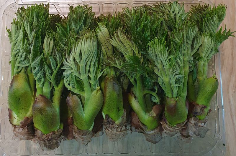 길위의웰컴선교사님의 장터 판매 상품 [남도 참드룹1kg(무료배송)] 첨부 사진