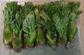 길위의웰컴선교사님의 작성글 사진