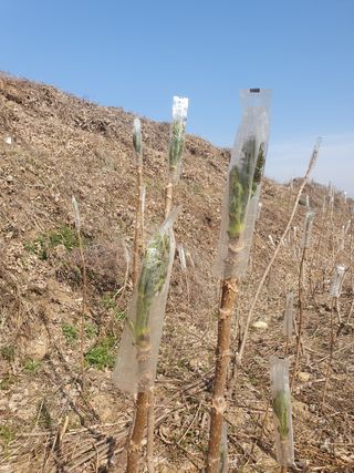 길위의웰컴선교사님의 작성글 사진