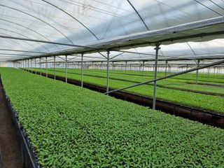 수박씨님의 고추 · 일상 작성글 사진