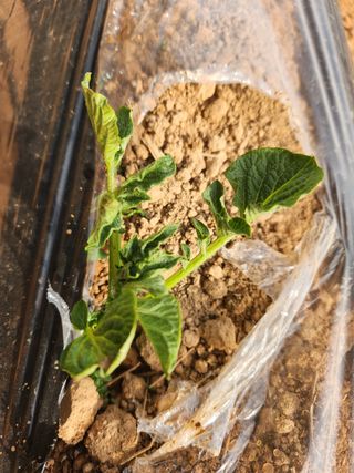 최승일님의 자유주제 · 자유게시판 작성글 사진