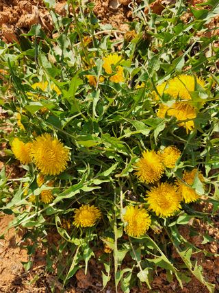 최승일님의 자유주제 · 자유게시판 작성글 사진