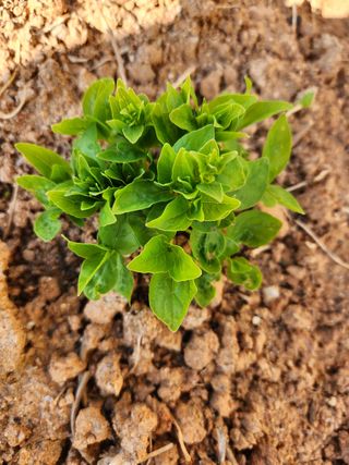 최승일님의 자유주제 · 자유게시판 작성글 사진